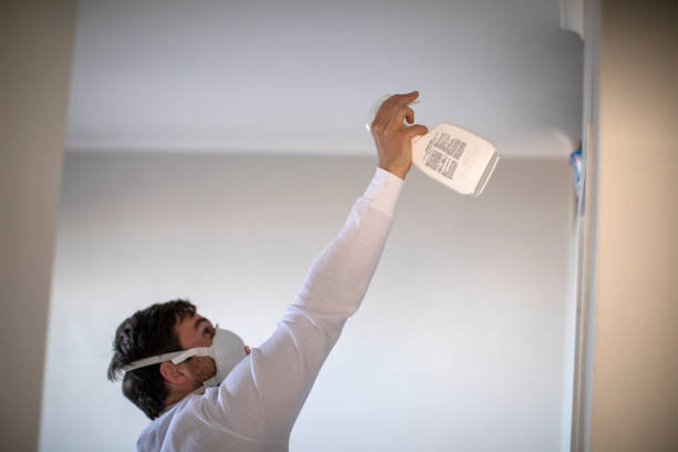 Best Mold Removal Process  in Point Baker, FL