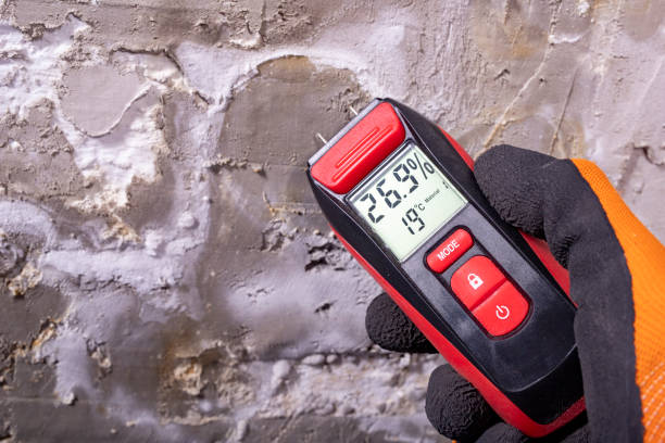 Best Toxic Mold Removal  in Point Baker, FL