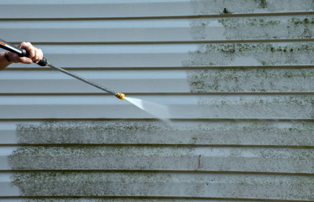 Best Mold Removal and Inspection  in Point Baker, FL