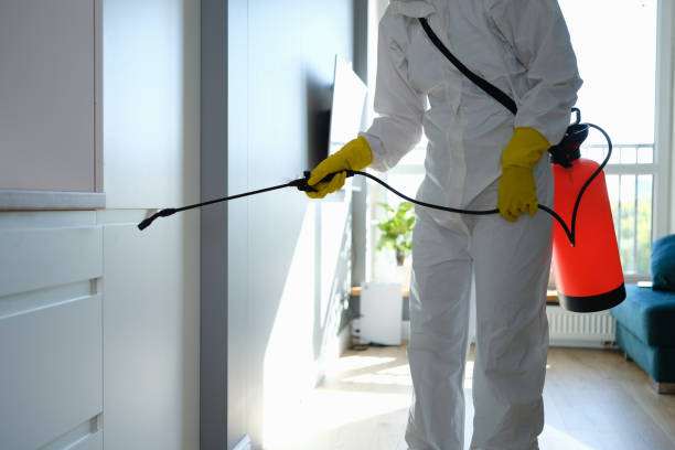 Best Professional Mold Removal  in Point Baker, FL