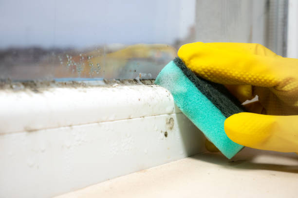 Water Damage Restoration in Point Baker, FL