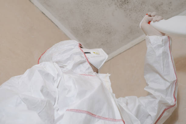 Best Commercial Mold Removal  in Point Baker, FL