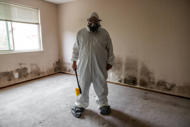 Best Crawl Space Mold Removal  in Point Baker, FL